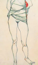 Weiblicher Torso mit hochgezogenem Hemd